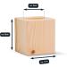Buy Stone Pine Cube Set - Double Pack with Organic Stone Pine Oil & Shavings - 7x7x8cm | International Shipping Available - Buy Online on GoSupps.com