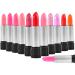 Lipstick Set Matte Liquid Lip Gloss Waterproof Long Lasting Lipstick Not Afraid of Kissing Drinking Swimming 12 Color Liquid Lip Gloss Lipstick