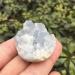 Natural Crystal Rough 50g Natural Kyanite Quartz Crystal Cluster Rough Specimen Minerals Reiki Gemstone Stone Mineral Specimen - Buy Online on GoSupps.com