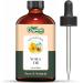 Arnica (Arnica Montana) Oil | Pure & Natural Essential Oil for Skincare Hair Care & Massage - 118ml/3.99fl oz