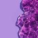 Crazy Rumors Grape Jelly Soothing Lip Balm Stick for Dry Lips Limited Edition Summer (100% Natural and Vegan) - Buy Online on GoSupps.com