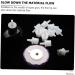 FRCOLOR 500 Pcs Glue Bottle Stoppers - White Plastic Nozzle for Easy Replacement | International Shipping Available - Buy Online on GoSupps.com