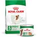 Royal Canin Mini Adult Wet Dog Food In Loaf Cans 12 x 195g - Buy Online on GoSupps.com