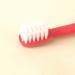Chuncin Soft Toothbrush - Eco-Friendly Travel Toothbrush with Round Handle & Soft Bristles for Men & Women (Red) - Buy Online on GoSupps.com