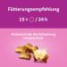 Whiskas Milk Kitten Snacks for 2-12 Months - 8x55g Treats for Healthy Growth | Functional Cat Snacks - International Shipping Available - Buy Online on GoSupps.com