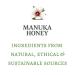 Buy Wild Ferns Manuka Honey Shower Gel | Nourishing & Hydrating | International Shipping Available - Buy Online on GoSupps.com