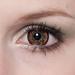 Matlens Geolica Brown Contact Lenses - Royal Princess Mimi Big Eyes 14.80mm 5.25 Diopters Includes Lens Case & Care Solution - Shop Internationally! - Buy Online on GoSupps.com