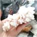 Rare Natural Raw Quartz Crystal Cluster Stones Crystal Point Specimen Home Decoration Raw Crystals Full of Texture (Size : 80-130g) - Buy Online on GoSupps.com