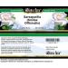 Bianca Rosa Sarsaparilla (Smilax Officinalis) Cream (2 oz ZIN: 521363) - Buy Online on GoSupps.com