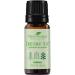 Plant Therapy Christmas Tree Essential Oil Blend 10 mL - 100% Pure & Natural Therapeutic Grade - Buy Online on GoSupps.com