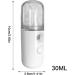 Nano Facial Mister Nano spray hydrating instrument30ml Face Humidifier Portable Facial Sprayer for Face USB Rechargeable White - Buy Online on GoSupps.com