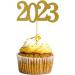 Otueidnsy 48PCS 2023 Year Gold Graduation Cupcake Toppers 2023 Graduation Decorations Graduation Cake Topper 2023 Food Decor/Graduation Grad Cap Party/Mini Insert - Buy Online on GoSupps.com
