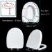 D Shape Toilet Seat for Compact Toilet Heavy Duty Toilet Seat Soft Close Quick Release Easy Clean Toilet Seat Cover (Width 35 Length 40-45) White Little Surprise - Buy Online on GoSupps.com