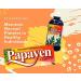 Papayen Liquid Papaya Leaf Extract Fermented Papaya Leaf Extract Liquid Supplement - 11.83 fl oz Helps Maintain Normal Platelet in Healthy Individuals - Buy Online on GoSupps.com
