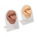 2pcs Silicone Tongue Mouth Model 3D Simulation Design with Acrylic Stand Ideal for Piercing Practice