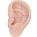 Flexible & Reusable Silicone Ear Model - 1 Pair Medium Skin Color for Ear Piercing Practice - Buy Online on GoSupps.com