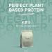 Chocolate Peanut Vegan Protein Powder 500g - Bulk Plant-Based Supplement - Buy Online on GoSupps.com