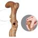 Wooden Walking Sticks for Men & Women Walking stick for rollator Wooden Walking Cane Stick Old Man Walker Anti-slip Walking Rod Solid Wood Crutches for Men Hiking (wood Color) Folding crutcheswooden - Buy Online on GoSupps.com