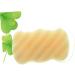 Angoily Eyebrow Trimming Kit Body Sponge Natural Sponges Sponge Hair Clips for Thin Hair Bathing Sponge Sponges for Body Facial Sponge Face Wash Cleaning Supplies Cleansing - Buy Online on GoSupps.com