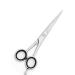 Professional Hairdressers Stainless Steel Barber Scissors Hair Cutting Shears (Style 2)