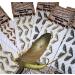 Hemingway's Realistic May Fly Wings Set Gray