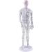 harayaa Human Body Point as described Male - Buy Online on GoSupps.com