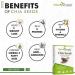 Drect Attar Ayurveda Chia Whole Seeds for Weight Loss Omega 3 250 gm - Buy Online on GoSupps.com