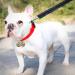 16-String Dog Collar Bell Set: Loud Brass Cat Bells with Key Rings for Pet Collar - Vintage Bronze Jingle Bells for Doorbell & Potty Training - Buy Online on GoSupps.com