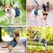 Dono Set of 3 Washable Diapers for Small & Medium Dogs - Army XL | Eco-Friendly Dog Diapers - Buy Online on GoSupps.com