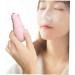 CANIGHT 1pc Hydrating Instrument Humidifiers for House Facial Portable Humidifiers Pink Abs - Buy Online on GoSupps.com