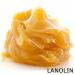 Protective Hand & Body Balm - Orange Lavender Mint & Tea Tree Oil | 2 oz - International Shipping Available - Buy Online on GoSupps.com