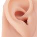 Mid Skin Ear Model Silicone Piercing Model for Ear Massage Practice Teaching Display for School and Hospital (Medium Skin Color) - Buy Online on GoSupps.com