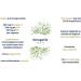  Orin Nutrition OmegaVie Vegan Vegan Omega 3 Seaweed Oil Rich in DHA & EPA Origin France (Brittany) Patented Qualitysilver TotOx 4 60 Capsules without Carrageenans Made in France Orin Nutrition - Buy Online on GoSupps.com