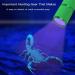 Leagy 2-Pack Mini UV Flashlight - 9 LEDs Pet Urine Detector & More | Ideal for Dogs Cats Fluorescent Agents & Bed Bugs - Free Shipping Worldwide - Buy Online on GoSupps.com