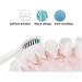Corsehild Electric Toothbrush Adult Models for Male and Female Students Household Induction Charging Soft Bristles Automatic Waterproof Toothbrush - Buy Online on GoSupps.com