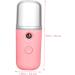 SEWOART 1pc Humidifier Diffuser Handheld Face Steamer Mini Face Humidifier Handheld Facial Mister - Buy Online on GoSupps.com