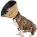 All Four Paws Comfy Cone Pet Collar - Large Nude | International Shipping Available - Buy Online on GoSupps.com