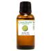 Lime 1 fl oz (30 ml) Glass Bottle 100% Pure Essential Oil GreenHealth