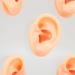 Clear Ear Displays Mould with Complete Tools - Soft and Tenacious for ENT Hospitals - Buy Online on GoSupps.com