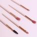 5-Piece Makeup Brush Set | Eyeshadow Eyelash Curl Full Makeup Tools | International Shipping - Buy Online on GoSupps.com