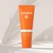 Dr. Rimpler Sun Cream SPF 30 for Face & Neck - Nourishing Light Lotion with Vitamin B & E | 75ml - International Shipping Available - Buy Online on GoSupps.com