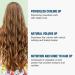 DASHU Daily Volume Up Curl Cream 5.07fl oz - Curl Defining & Volumizing Styling Cream - Buy Online on GoSupps.com