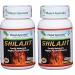 Planet Ayurveda Shilajit Capsules, 500mg Std. Extract, 2 Bottles