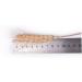 Dried Wheat Stems 100PCS Type 1 Dried Wheat Stalks Dried Wheat Sheaves Fake Dried Wheat Sheaves Stalks Bouquet Bundles Natural Wheat Stalks Bundle Dry Grass Bunch DIY Arrangements Primary - Buy Online on GoSupps.com