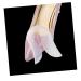 Heel Cushions for Shoes Silicone Insoles Heel Pad Foot Pad White Medium