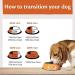 Wellness CORE Adult Original Dry Dog Food Dog Food Dry Grain Free Dog Food High Meat Content Turkey & Chicken 10 kg Original - Chicken & Turkey 10kg - Buy Online on GoSupps.com