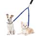 Nasjac double dog leash no tangling 360 rotatable splinter double linen for two dogs adjustable shock-damping bungee-reflecting leash for dogs small medium and large running training small (3-9 kg) light blue