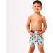 Splash About Toddler Jammers 3 Years Bugs Life | Leak Proof Swim Shorts - Buy Online on GoSupps.com