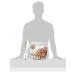 Wickedly Prime Roasted Cashews Coconut Toffee Snack Pack - 1.5 oz (Pack of 15) - Buy Online on GoSupps.com