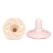 DODDLE & CO. Holland Pop Pacifier  Natural Shape  100% Silicone (0-3 Months  Blush/Shore) 2 Count (Pack of 1) Blush/Shore